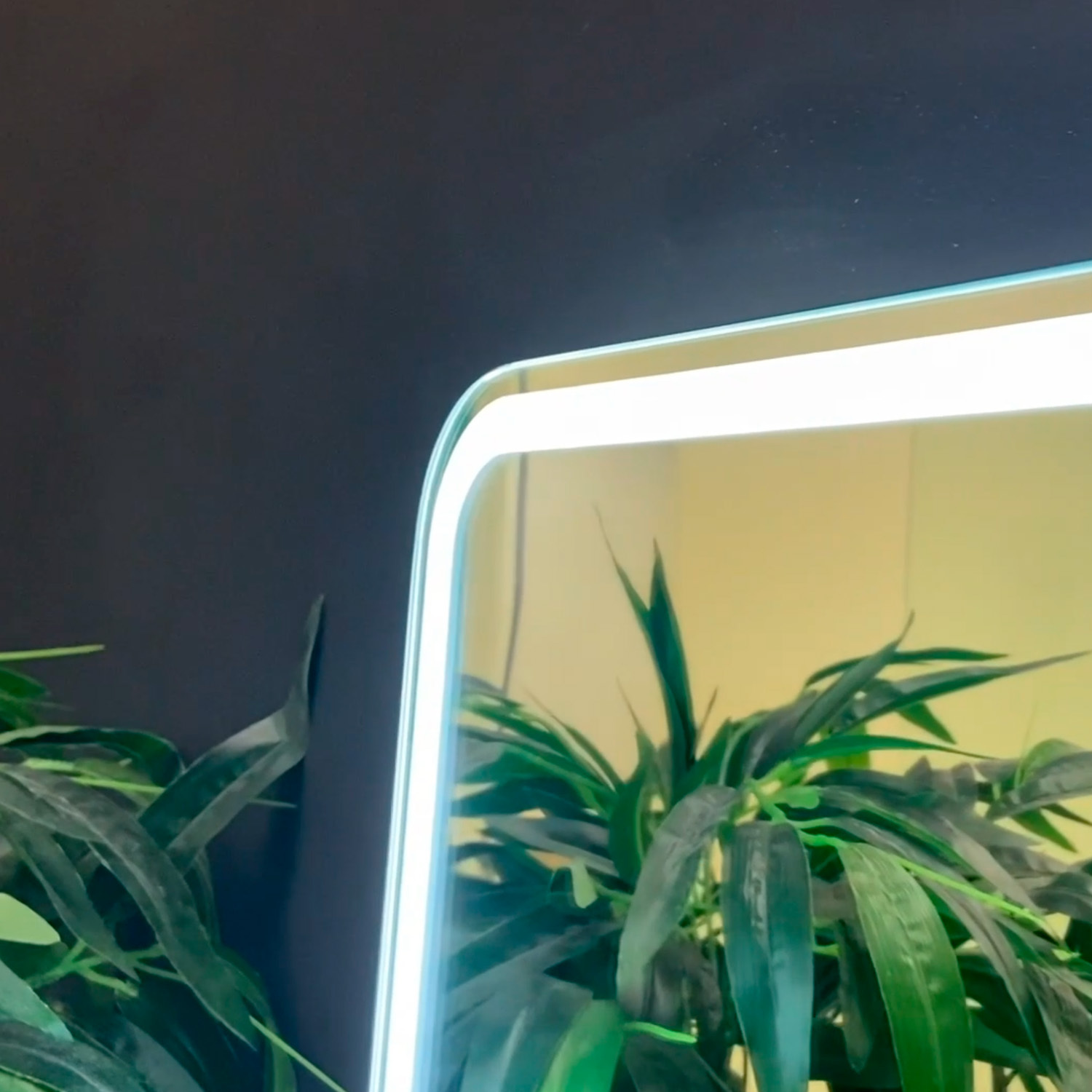 Зеркало с подсветкой и диммером Silver Mirrors Давид 80*55