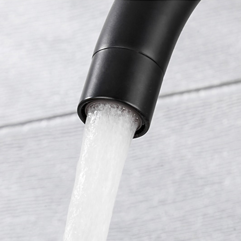 Смеситель для кухни Frap H899 F40899-4 Черный