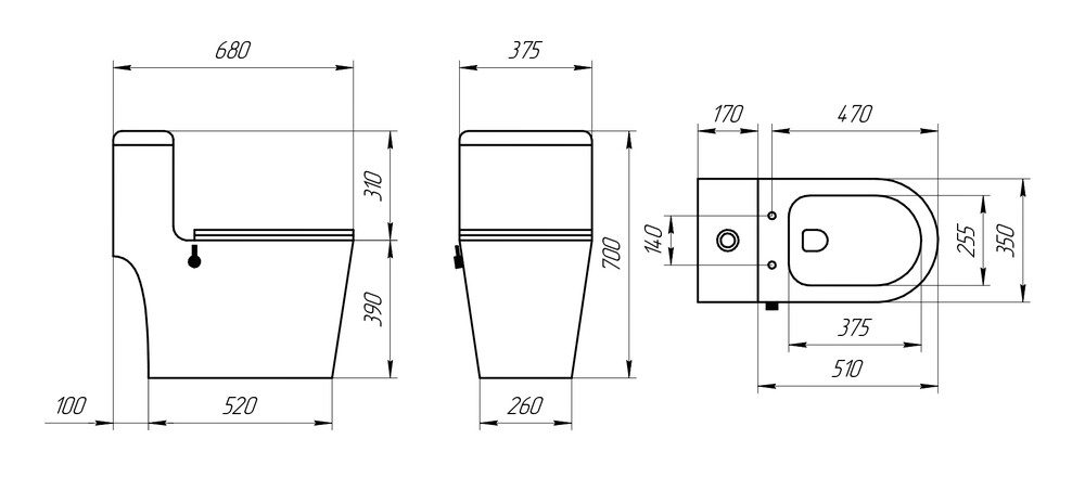 Унитаз-монолит EvaGold SM5003B с биде