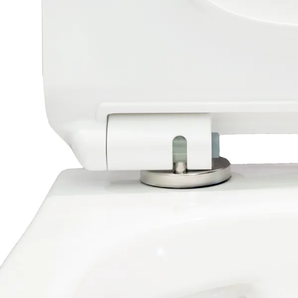 Подвесной безободковый унитаз Sole Pandora 2 с крышкой Soft-close