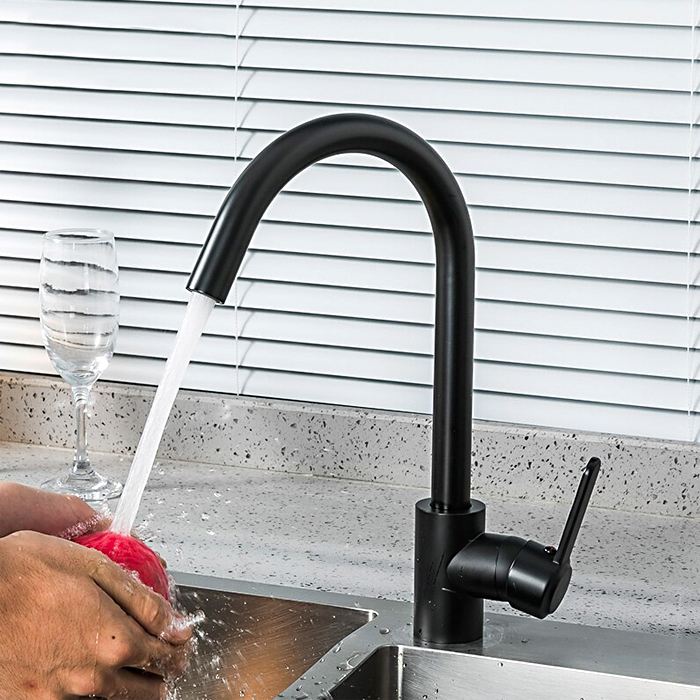 Смеситель для кухни Frud R44052-12 черный матовый