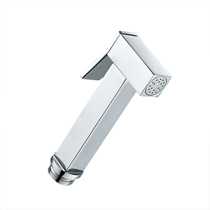 Гигиеническая лейка Frap F21-1 хром