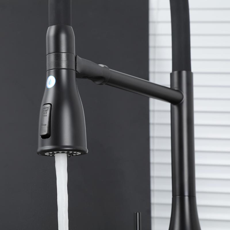 Смеситель для кухни с фильтром Gappo G4399-76 черный