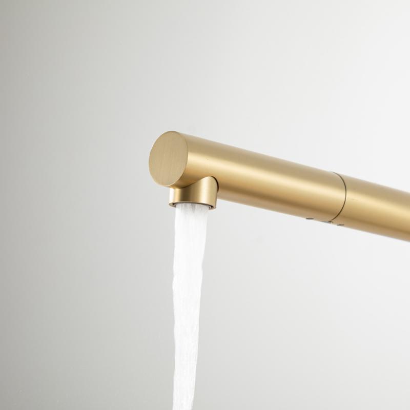 Вытяжной смеситель для кухни с фильтром Frap H96 F4396-33 золотой сатин