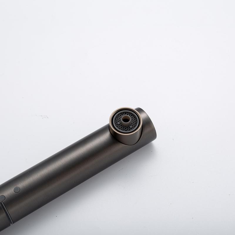 Вытяжной смеситель для кухни с фильтром Frap H96 F4396-39 оружейная сталь