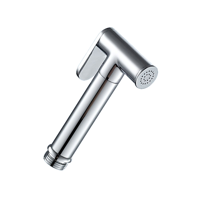 Гигиеническая лейка Frap F21