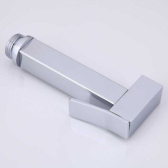 Гигиеническая лейка Frap F21-1 хром