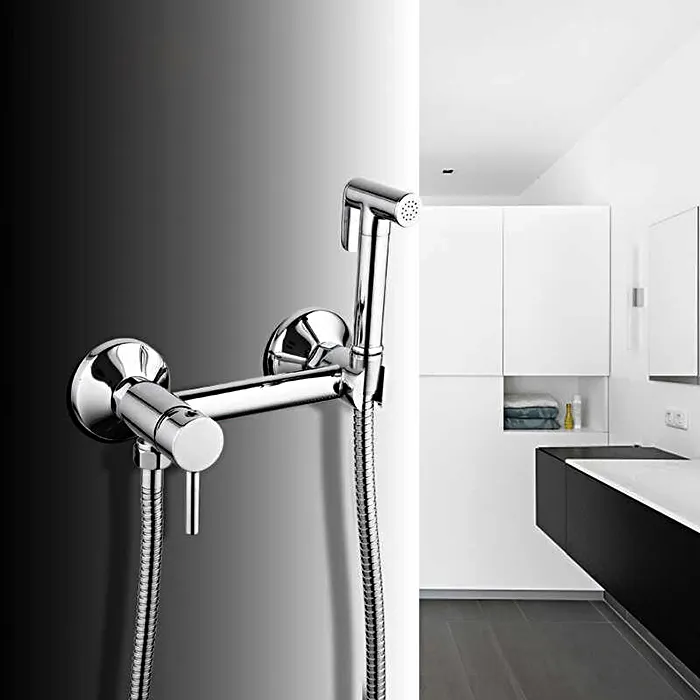 Смеситель с гигиеническим душем Frap F7503 хром