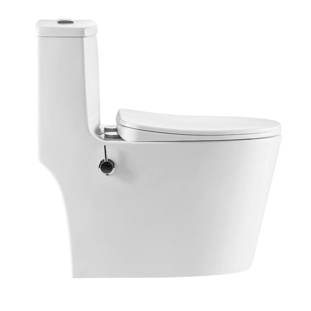 Унитаз-монолит EvaGold SM5003B с биде