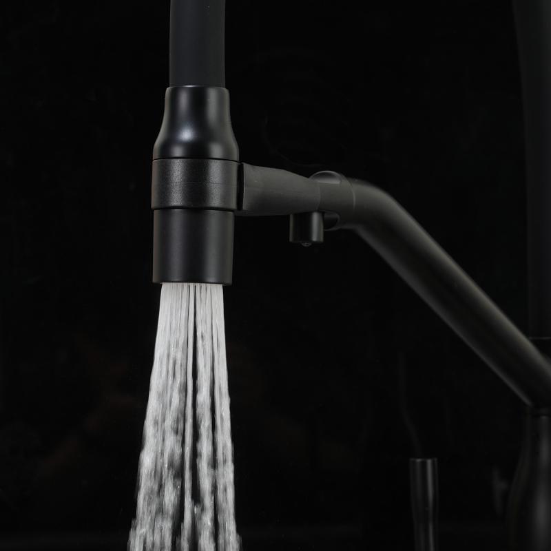 Смеситель для кухни с фильтром Frap H97 F4397-6 черный