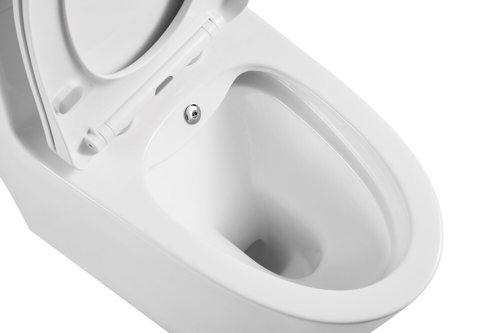 Унитаз-монолит EvaGold SM5003B с биде