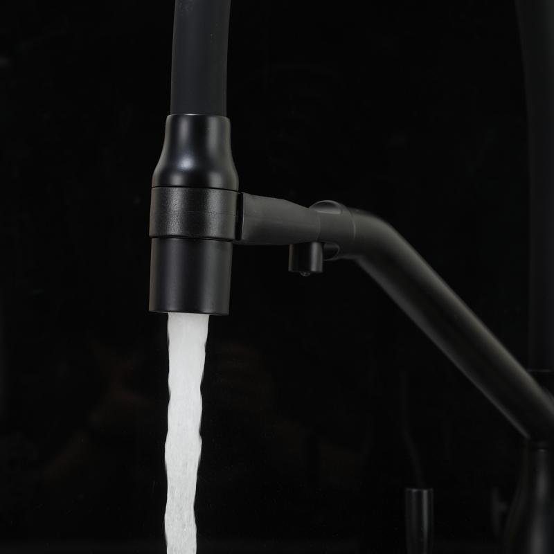 Смеситель для кухни с фильтром Frap H97 F4397-6 черный