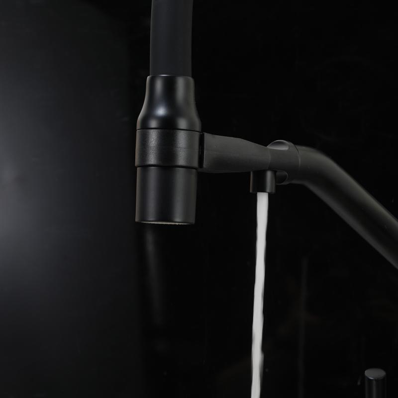 Смеситель для кухни с фильтром Frap H97 F4397-6 черный