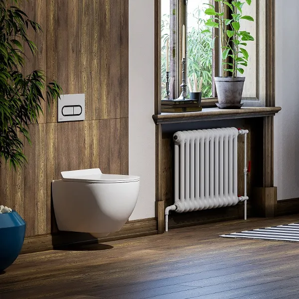 Подвесной безободковый унитаз Sole Pandora 2 с крышкой Soft-close