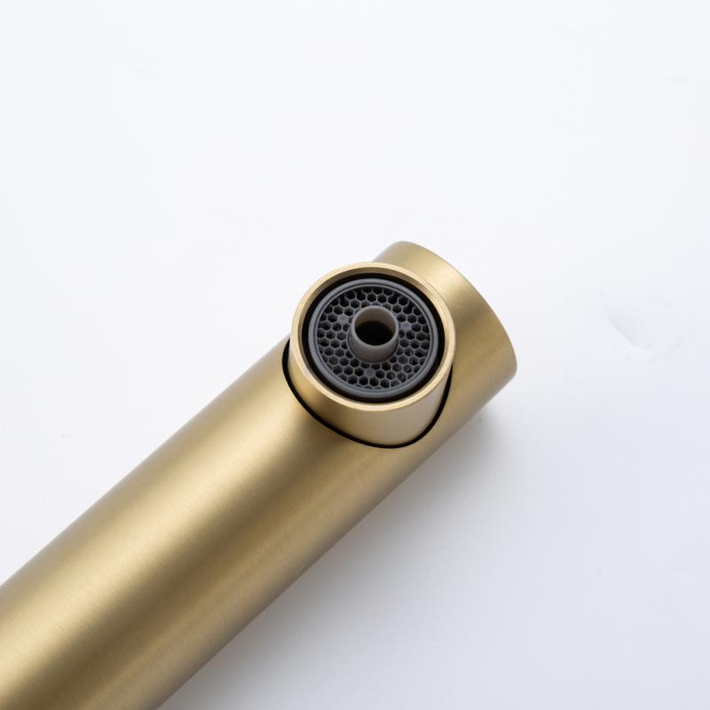 Вытяжной смеситель для кухни с фильтром Frap H96 F4396-33 золотой сатин