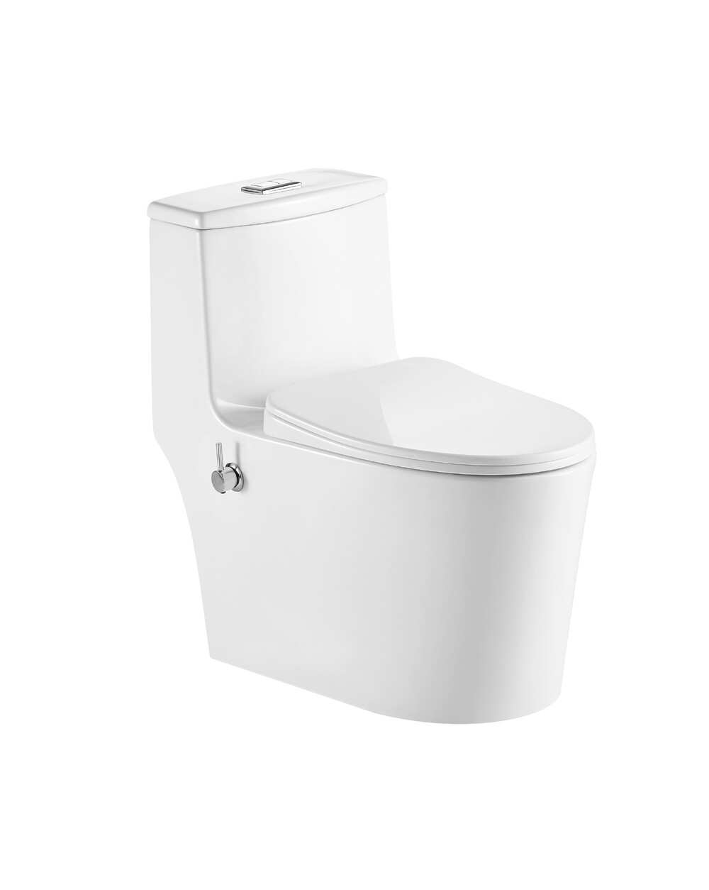 Унитаз-монолит EvaGold SM5003B с биде