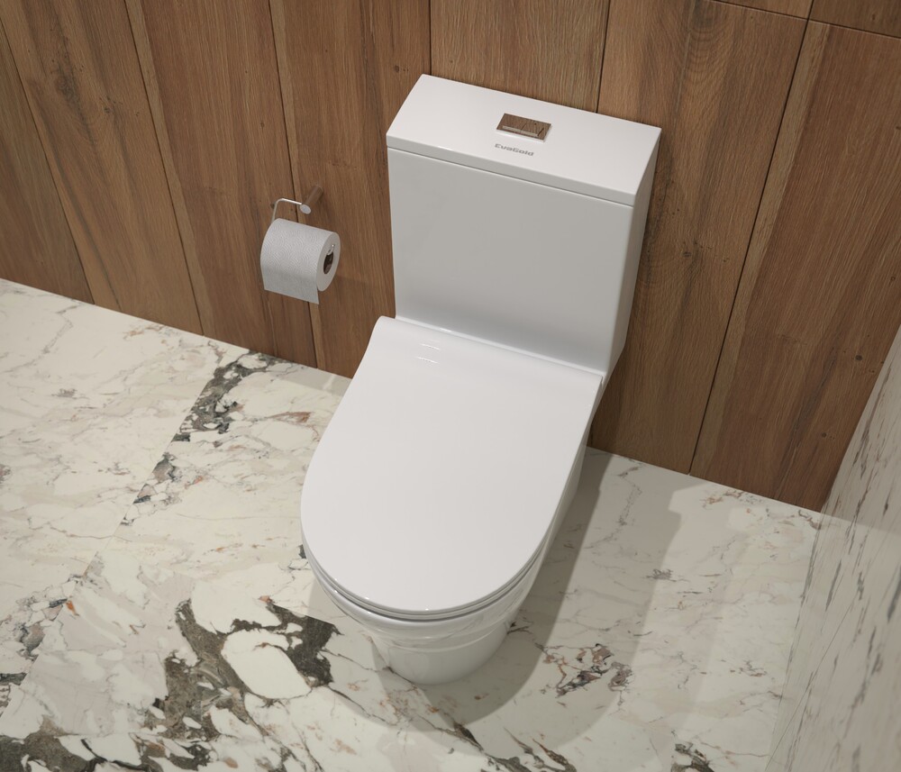 Унитаз-монолит безободковый EvaGold T1060