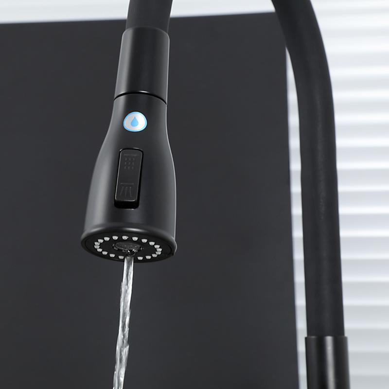 Смеситель для кухни с фильтром Gappo G4399-66 черный