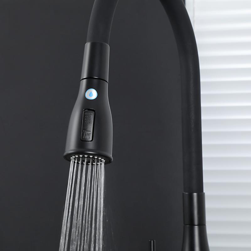 Смеситель для кухни с фильтром Gappo G4399-66 черный