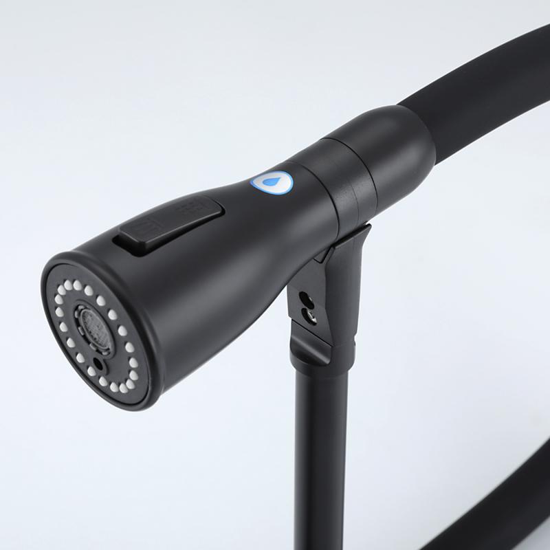 Смеситель для кухни с фильтром Gappo G4399-76 черный