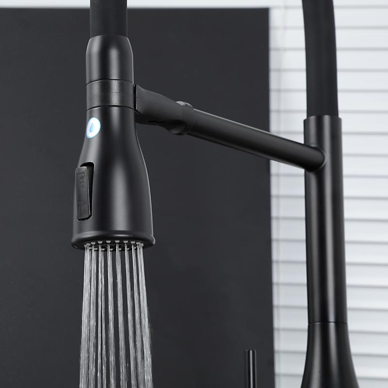 Смеситель для кухни с фильтром Gappo G4399-76 черный