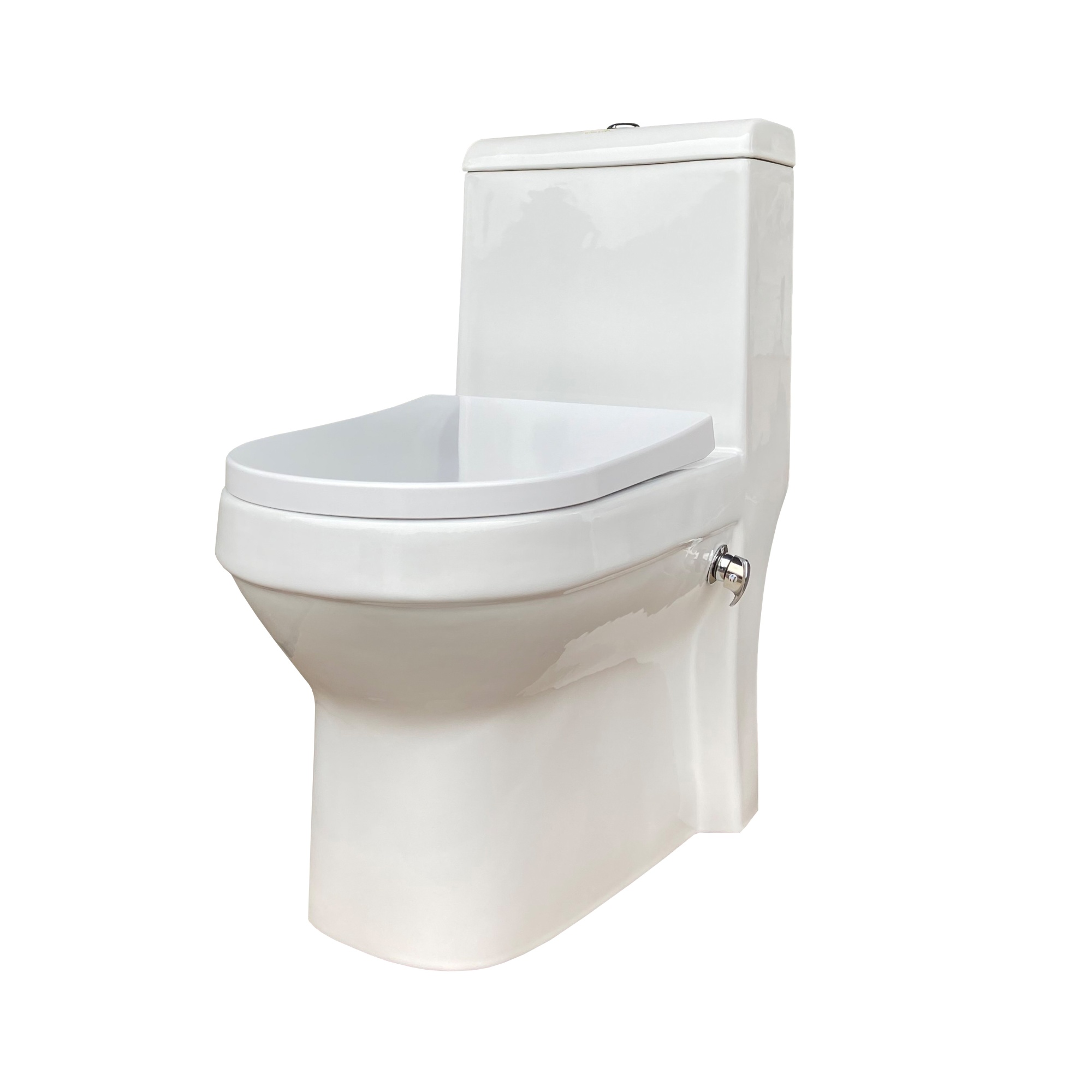 Унитаз-монолит EvaGold 705B со встроенным биде